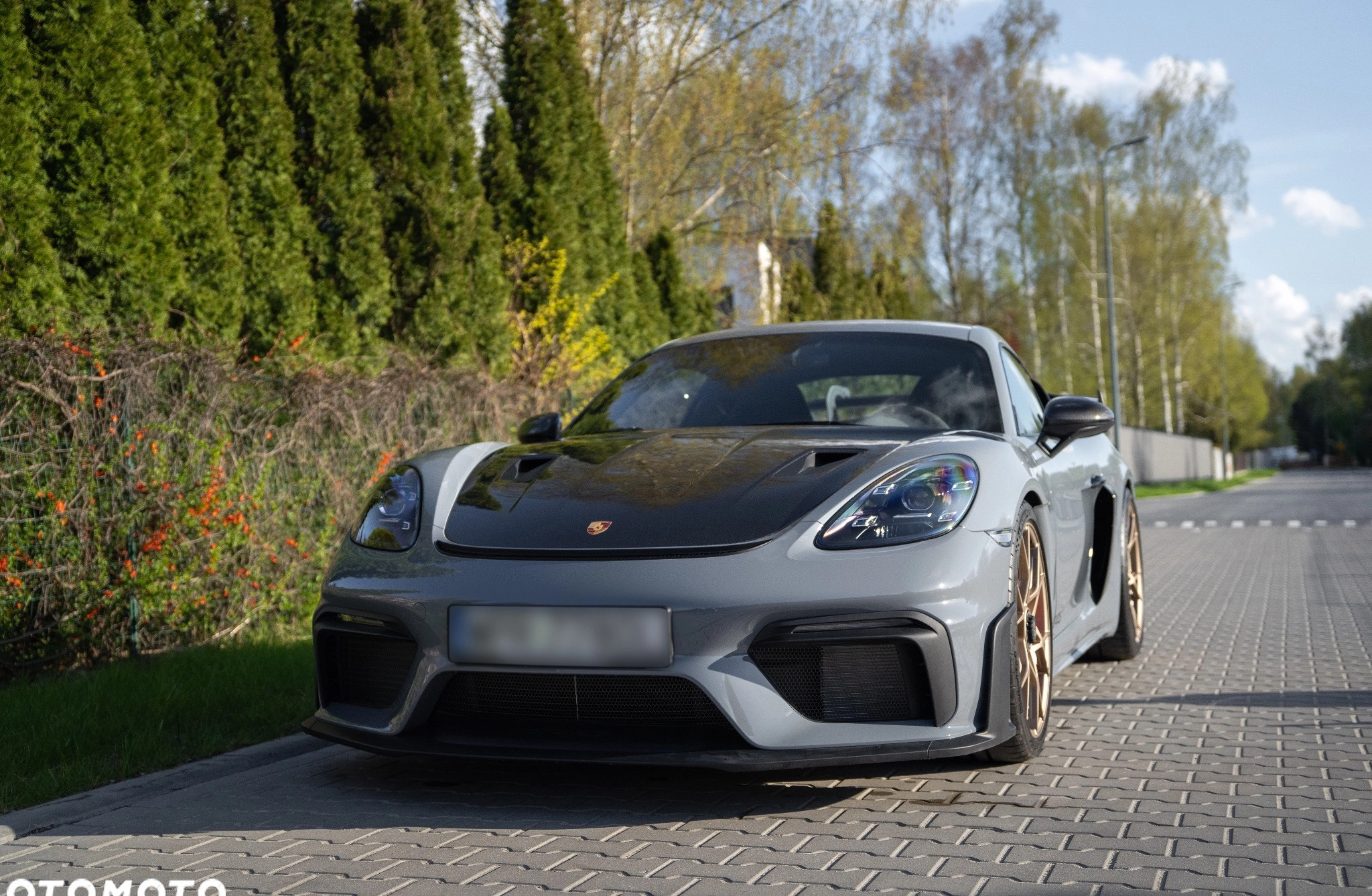 Porsche 718 Cayman cena 1070100 przebieg: 50, rok produkcji 2023 z Żory małe 232